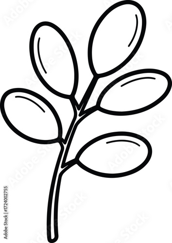 Vector Moringa branch with leaves monochrome botanical silhouette design