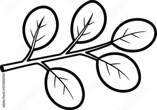 Vector moringa plant branch fresh leaves simple silhouette design