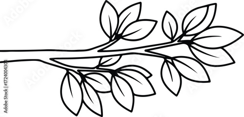 Vector simple tree branch with leaves botanical silhouette design