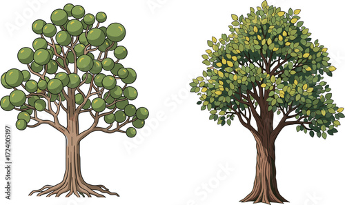 Abstract and realistic tree illustration comparison with green foliage and roots for botanical, nature, educational, and artistic vector design