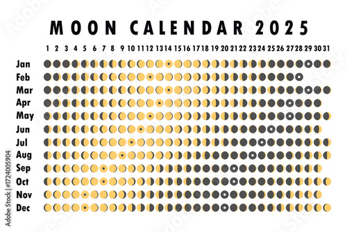 2025 Moon calendar. Astrological calendar design. planner. Place for stickers. Month cycle planner mockup. Isolated black and white background.