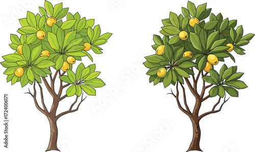Green foliage trees with yellow fruits illustration showing canopy and leaf variation for botanical, nature, agriculture, and educational vector design