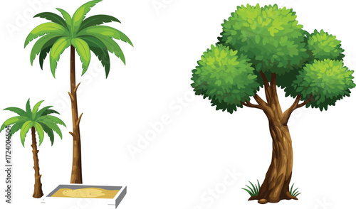 Palm trees and broadleaf tree illustration comparing trunk structure, foliage type, and planter style for botanical, garden, and educational design