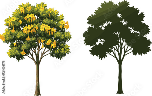 Realistic Yellow-Flowered Tree and Silhouette Tree Side by Side for Nature, Art Style Comparison, Botany, and Landscape Design Themes