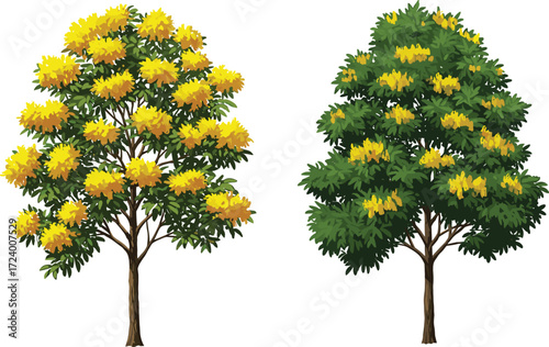 Two Yellow-Flowered Trees with Light and Dark Foliage for Nature, Botany, Seasonal Contrast, Landscape Design, and Environmental Concepts