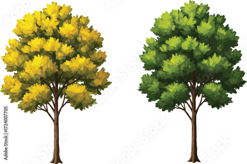 Yellow and Green Foliage Trees Side by Side Representing Seasonal Change, Nature Diversity, Botany, and Landscape Design Concepts