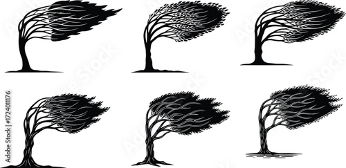 Stylized windblown trees vector illustration showing natural storm force, curved trunks, dynamic motion, resilience, environmental concept, black and white silhouette art