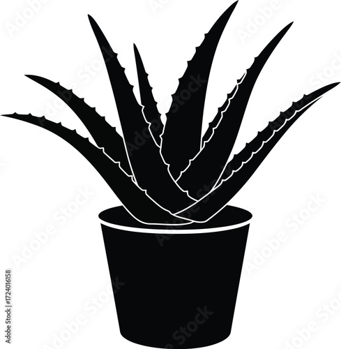 Scalable vector illustration of a potted aloe vera plant ideal for design projects