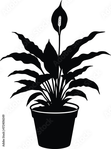 Vector illustration of a potted peace lily plant scalable eps graphic for design