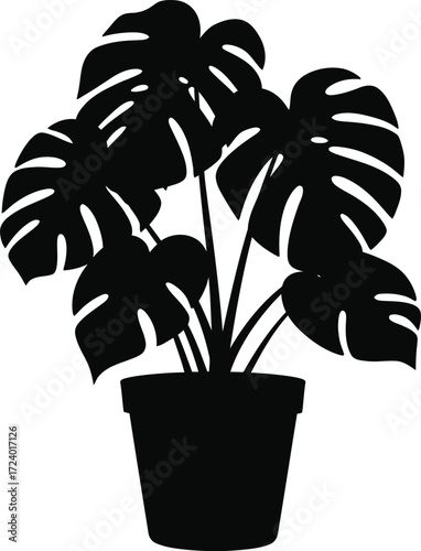 Scalable silhouette vector illustration of a potted monstera deliciosa indoor plant