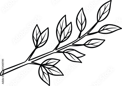Vector tree branch with leaves botanical black and white silhouette design