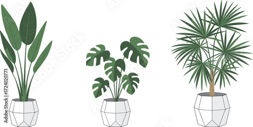 Indoor plant vector set, potted tropical foliage icons, Monstera, palm, bird of paradise leaves, modern decor, editable botanical illustration pack