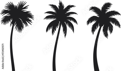 Palm Trees Vector Illustration Isolated Black Art: Tropical Plant Set