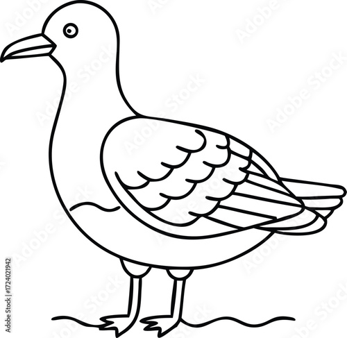 Simple line art illustration of a seagull standing on sandy ground