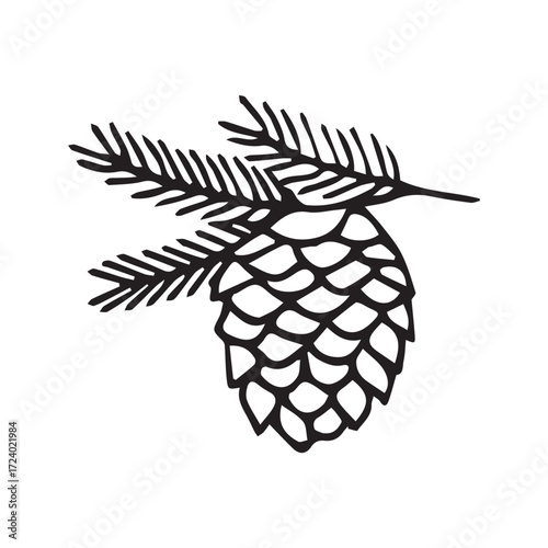 pine cone and branch illustration in simple folk-art style black and white decorative motif. Vector hand drawn illustration for postcards, logo, stikers, polygraphy and social media. Not AI