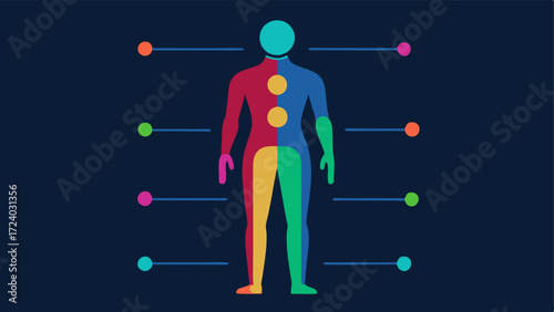 ColorCoded Visualization An interface showing a fullbody scan where different colors represent various tissue densities or health conditions with a legend explaining the color