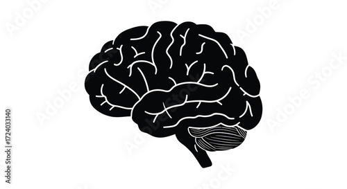Detailed human brain anatomy illustration in simple black and white silhouette