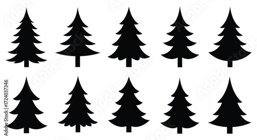 A collection of evergreen trees in various shapes a dark silhouette