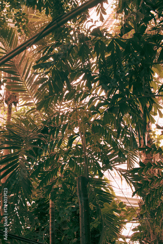 Lush green vegetation creating a serene atmosphere in a Danish outdoor setting