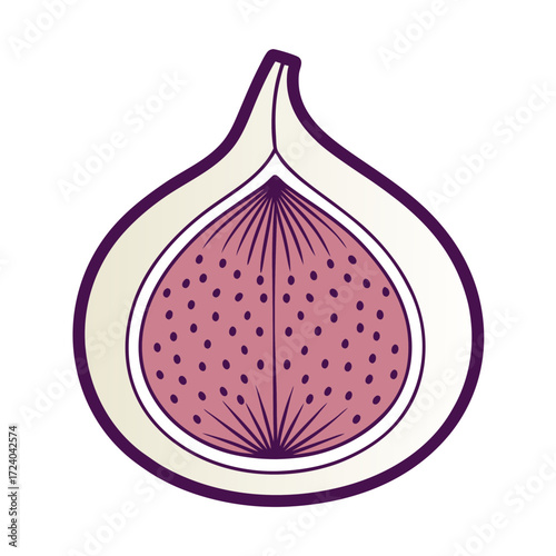 vector illustration of a fresh red onion