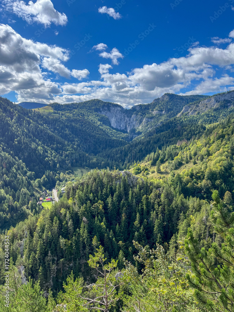 Fototapeta premium View from Via Ferrata Astragalus, Sugau Gorges, Suhard Mountain, Romania