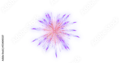 Macro closeup of an abstract purple flower bloom, like an allium or aster, isolated on a white background