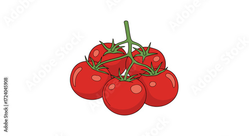 A bunch of ripe red tomatoes on the vine ready for harvesting and cooking.