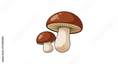 Two brown mushrooms with creamy white stems stand tall in a forest.