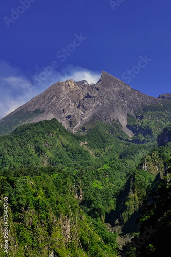 A close-up view of Mount Merapi from a distance with trees in the foreground. The panoramic beauty of Mount Merapi on a clear, midday day is clearly visible from a distance.
