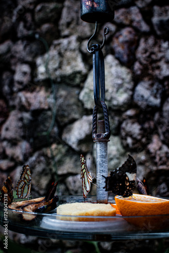 Colorful butterflies feeding on fruit in a serene garden setting in Denmark