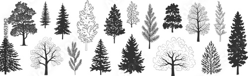 Tree silhouette illustration, twenty stylized tree shapes with varied foliage textures coniferous and deciduous forms black white layout, vector clipart artwork