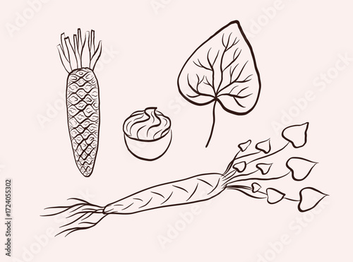 Wasabi sketch on isolated background. Hand drawn set with Japanese horseradish, plant, rhizome, leaf, paste, dried and ground root. Botanical illustration with hot seasoning for medical, food, sushi 
