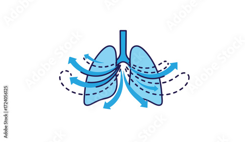 Human lungs illustrating airflow during respiration, showing bronchi and alveoli.