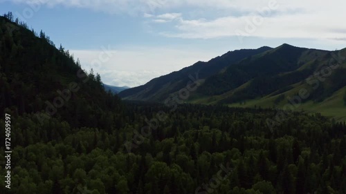 Aerial view of fields and mountains