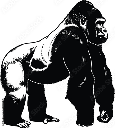 Gorilla silhouette illustration, black and white design, strong animal pose, muscular build, wild creature, fur texture, jungle beast, primate