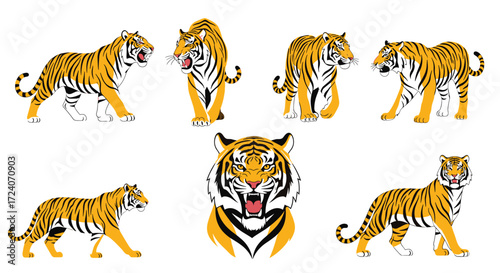 A collection of fierce wild tigers in various dynamic poses.