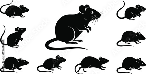 Rodent silhouette collection, black rat shapes, mouse poses illustration, animal behavior concept, issittingRodent silh