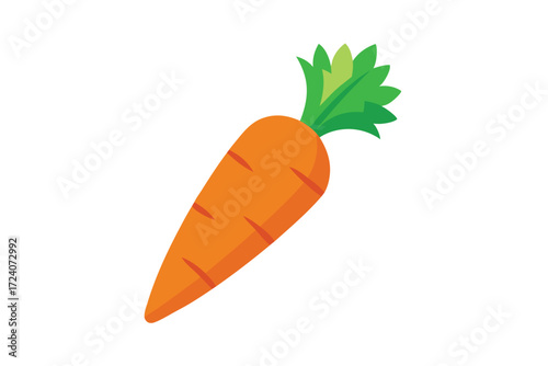 Single orange carrot with green leaves is isolated on white background