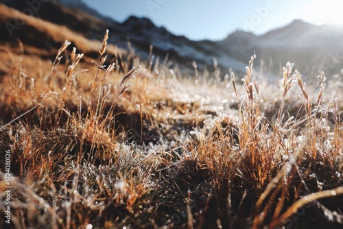Frosty mountain meadow at dawn