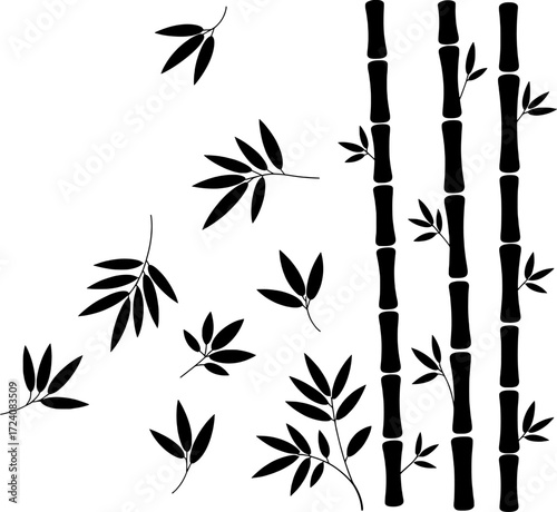 Black bamboo stalks with scattered leaves branches