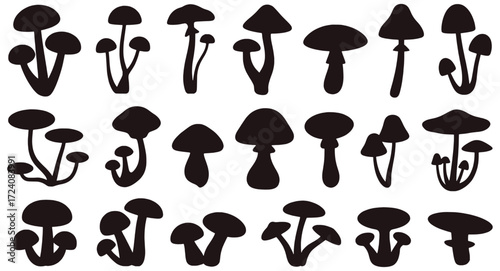 Dark mushroom silhouettes on white background fungi black