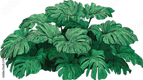 Vibrant Tropical Plants with Lush Green Leaves for Nature and Botanical Concepts