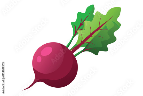 Fresh beetroot with bright green leaves showing its vibrant color on a white backdrop