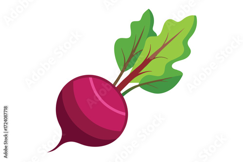 Vivid beetroot vegetable features rich color and fresh green leaves against a clean backdrop