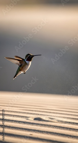Hummingbird in Flight Over Sand Dunes A Stunning Wildlife Photography