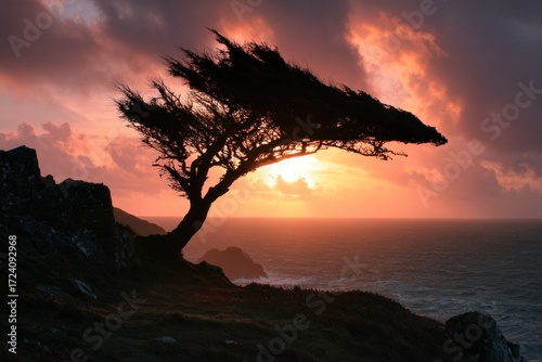 Silhouette tree at sunset over ocean