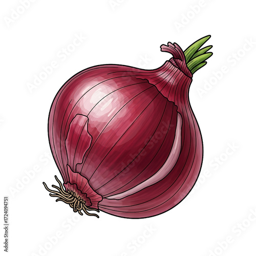 Fresh Red Onion Vegetable Whole Bulb with Green Sprout Isolated on White Background for Cooking