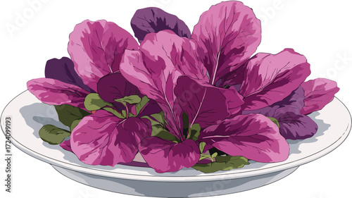 Vibrant Microgreen Red Cabbage on Plate Edible