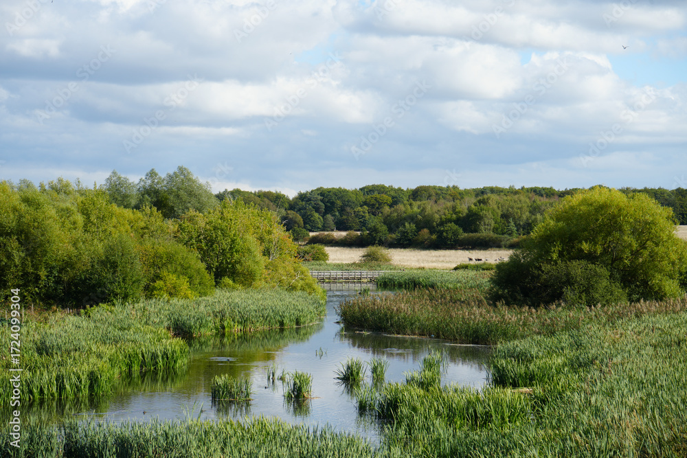Fototapeta premium Serene River Landscape with Wooden Bridge at Clumber Park, Nottinghamshire, England: A Tranquil Countryside Scene