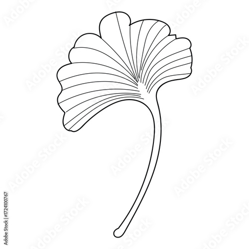 Minimal ginkgo leaf line drawing with elegant curved stem.